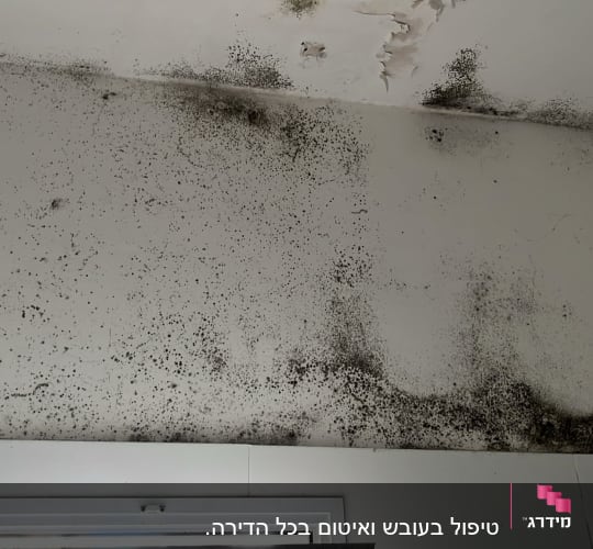כתמי עובש על תקרה לבנה בחדר אמבטיה